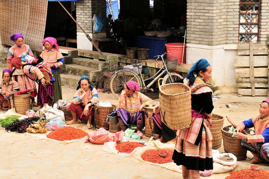 Dive into the cultural charm of Sapa Travel
